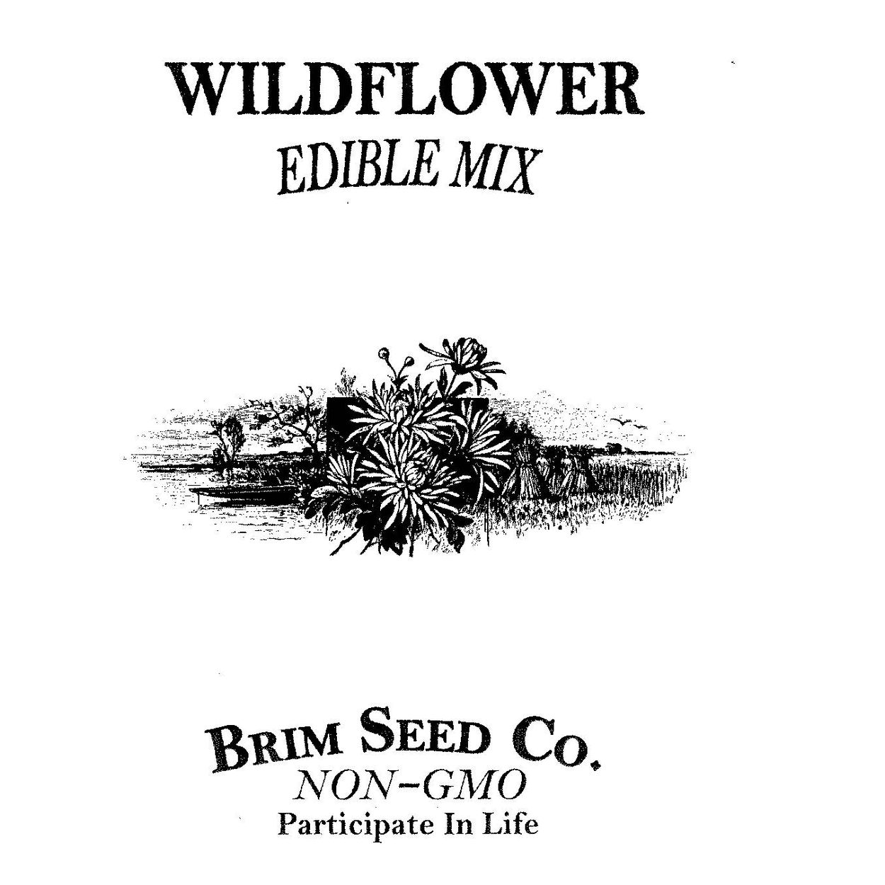 Brim Seed Co. - Edible Mix Wildflower Seed