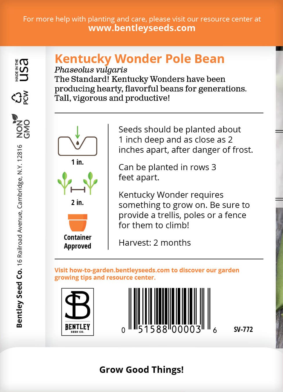Bentley Seed Co. - Bean Kentucky Wonder (Green Pole)