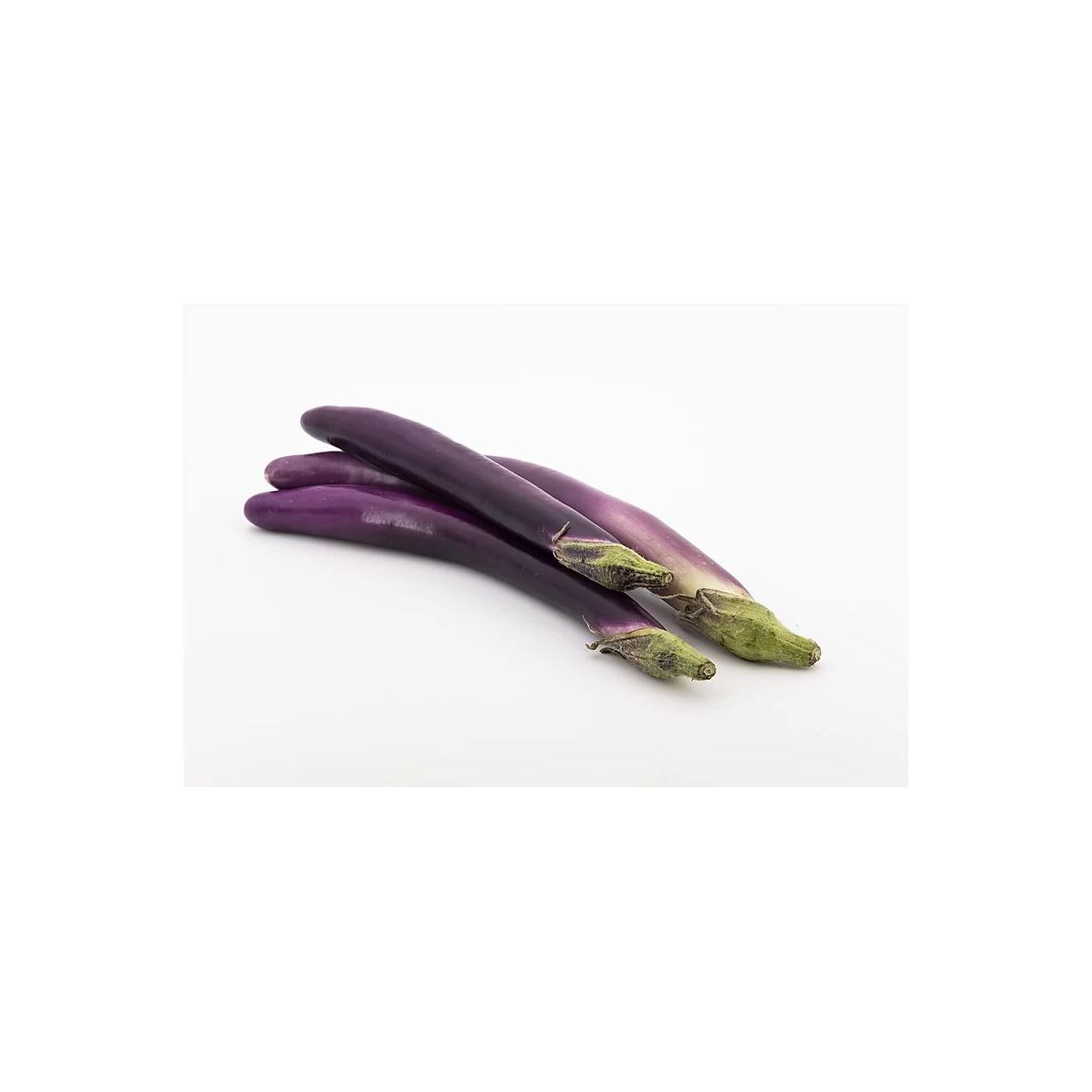 Brim Seed Co. - Long Purple Eggplant Heirloom Seed