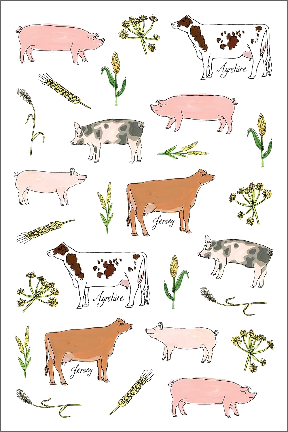 Farm Anatomy Sticker Book - by Julia Rothman