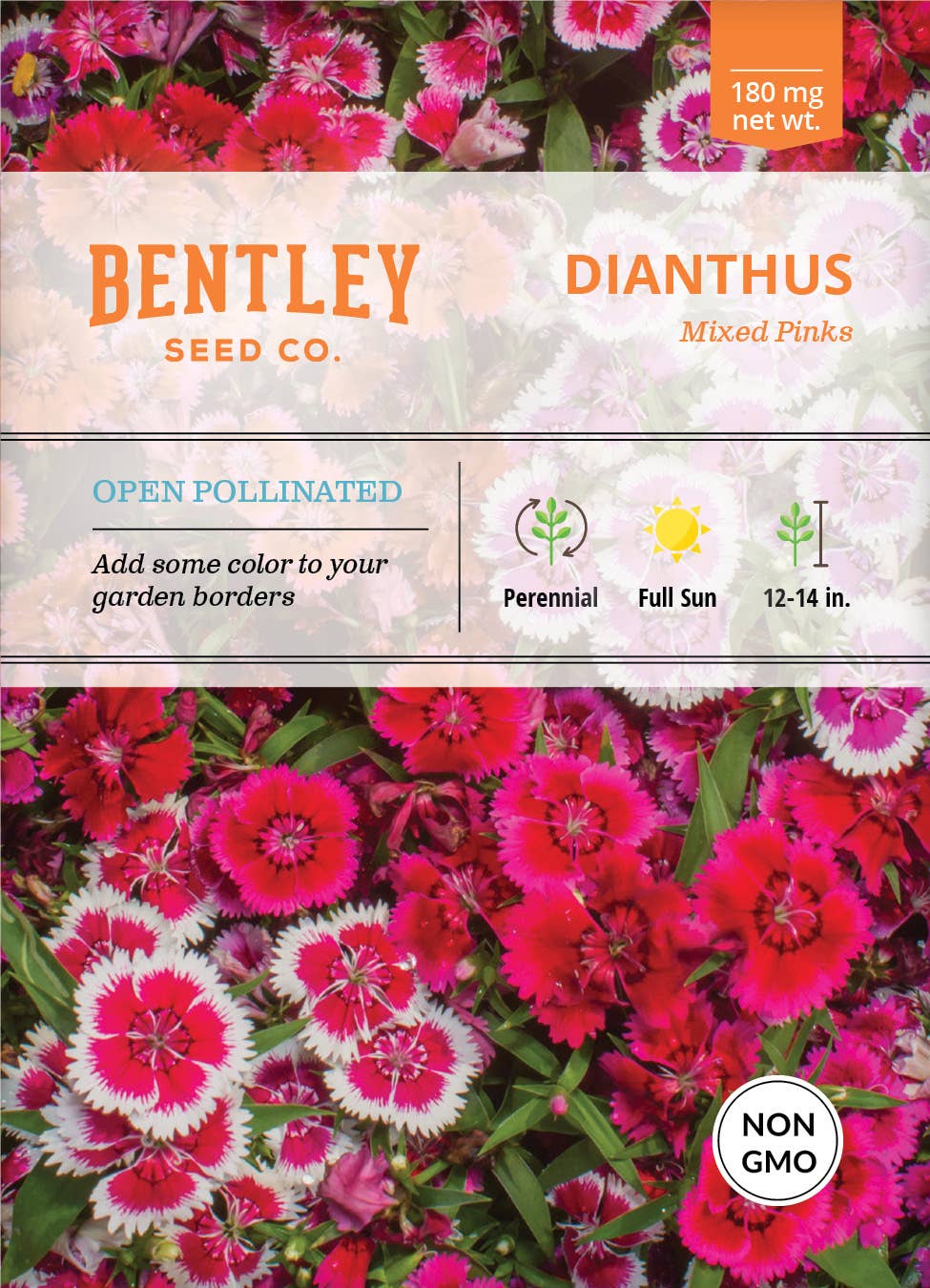 Bentley Seed Co. - Dianthus Mixed Colors Pinks
