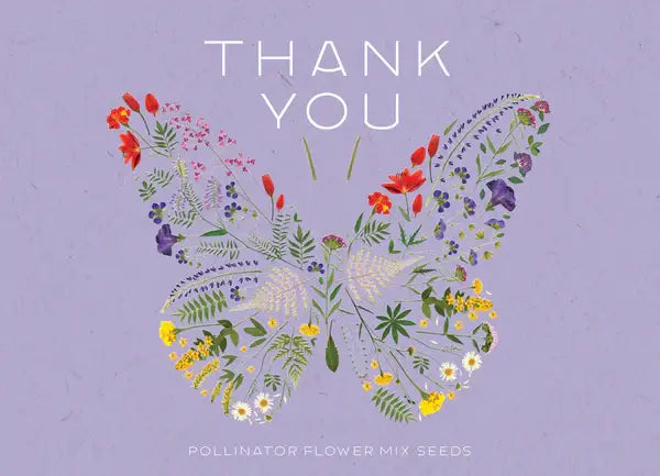 Bentley Seed Co. - Thank You Butterfly Pollinator Flower Mix Seed