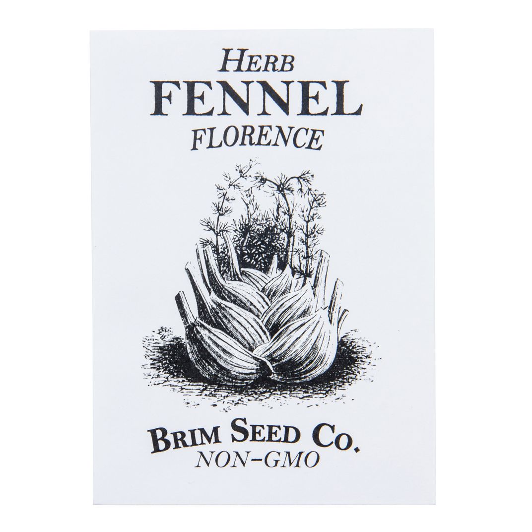 Brim Seed Co. - Florence Fennel Herb Seed