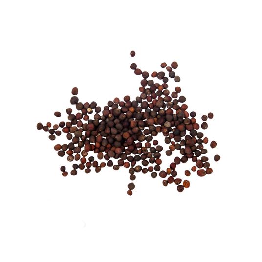 Brim Seed Co. - Georgia Southern Creole Collards Heirloom Seed