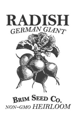Brim Seed Co. - German Giant Radish Heirloom Seed