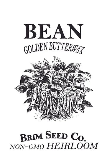 Brim Seed Co. - Golden Butterwax Bush Bean Heirloom Seed