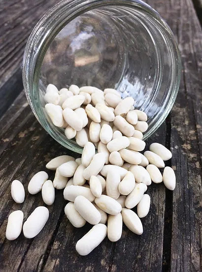 Brim Seed Co. - Golden Butterwax Bush Bean Heirloom Seed