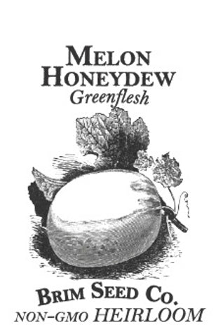 Brim Seed Co. - Greenflesh Honeydew Melon Heirloom Seed