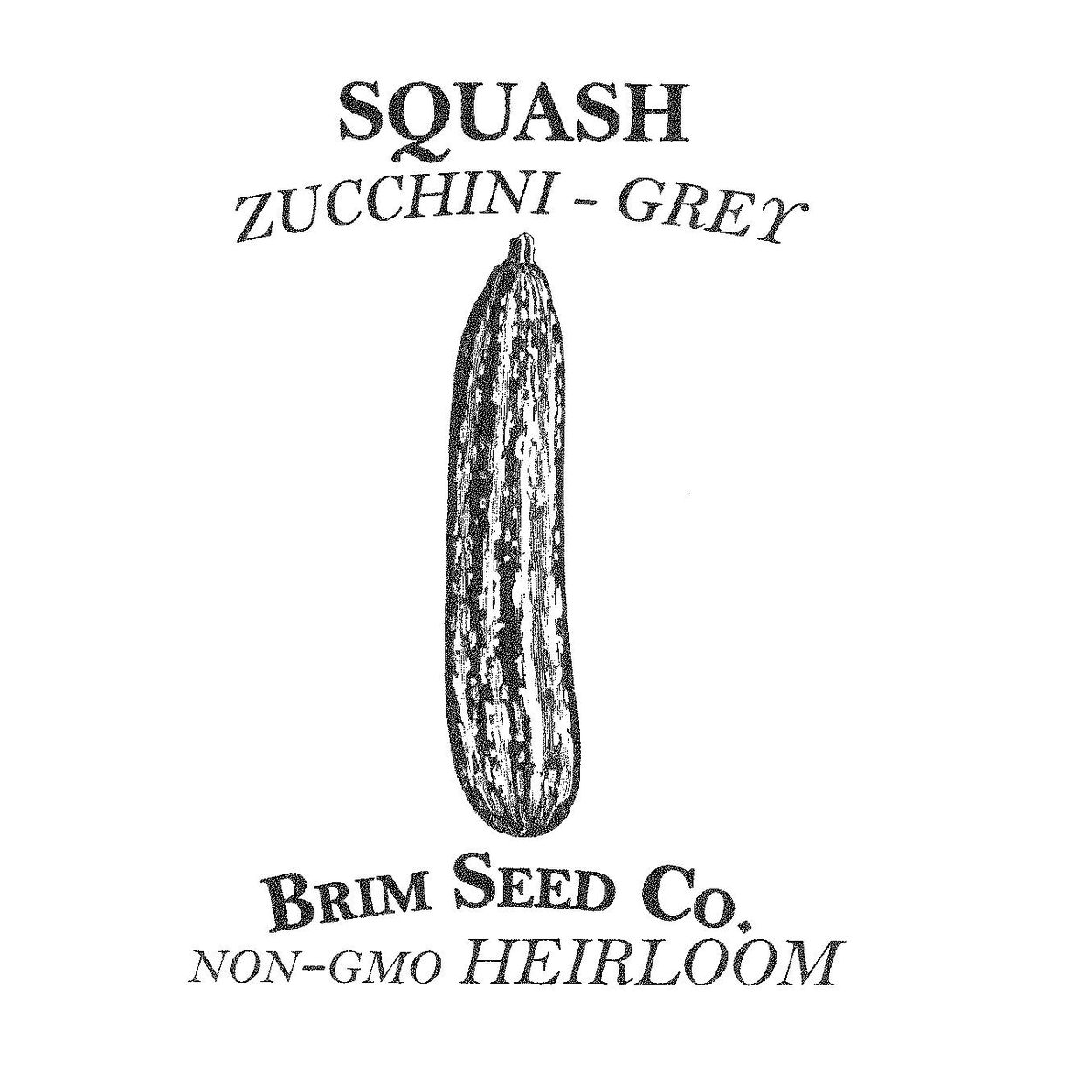 Brim Seed Co. - Grey Zucchini Squash Heirloom Seed