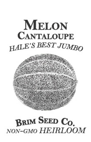 Brim Seed Co. - Hale's Best Jumbo Cantaloupe Melon Heirloom Seed