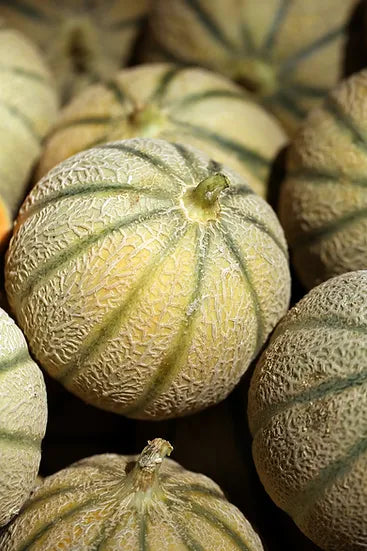 Brim Seed Co. - Ha'Ogen Cantaloupe Melon Heirloom Seed