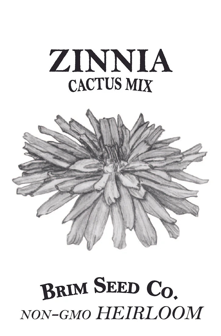 Brim Seed Co. - Cactus Mix Zinnia Flower Heirloom Seed