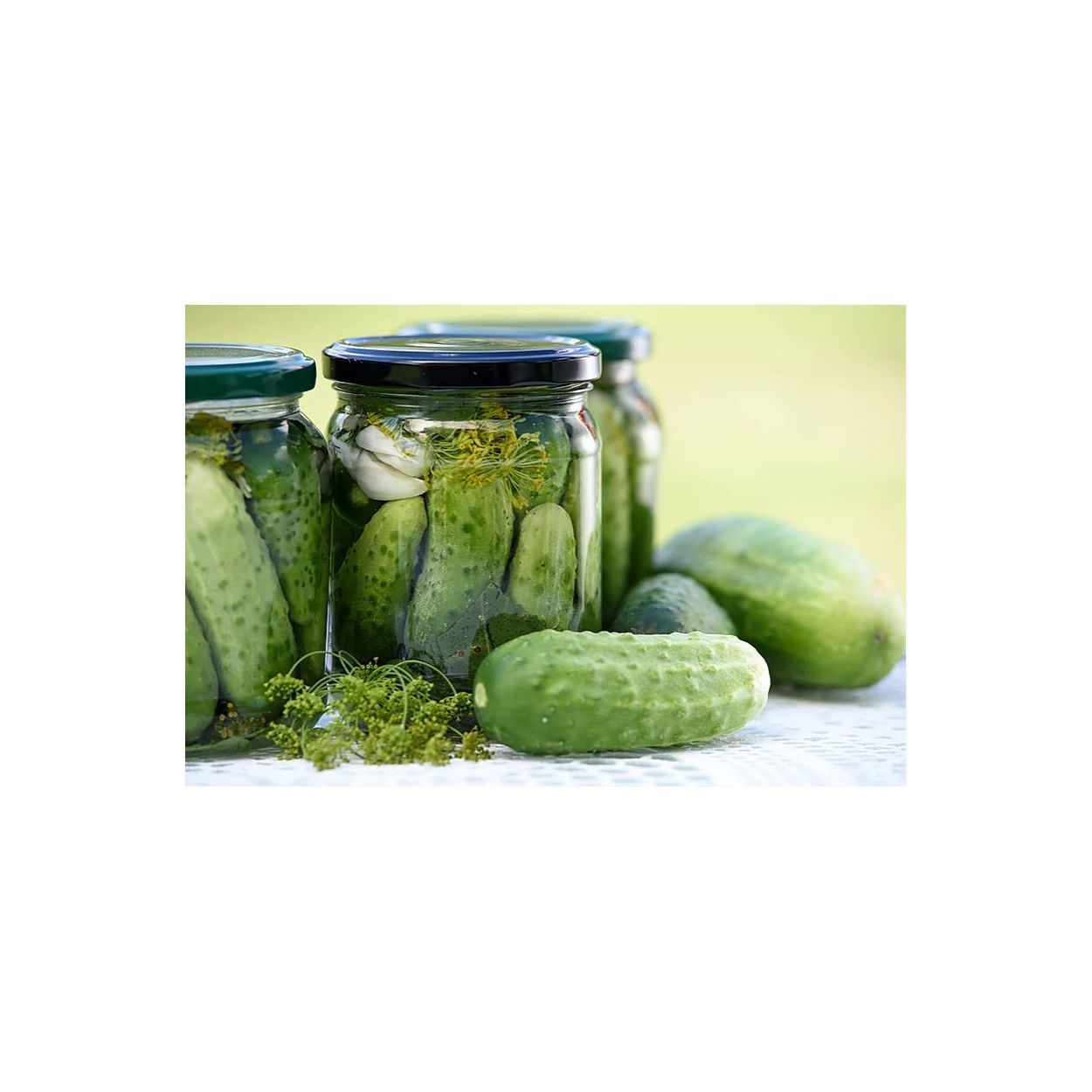 Brim Seed Co. - Homemade Pickles Cucumber Heirloom Seed