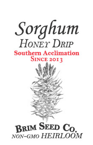 Brim Seed Co. - Southern Acclimated Honey Drip Sorghum Heirloom Seed