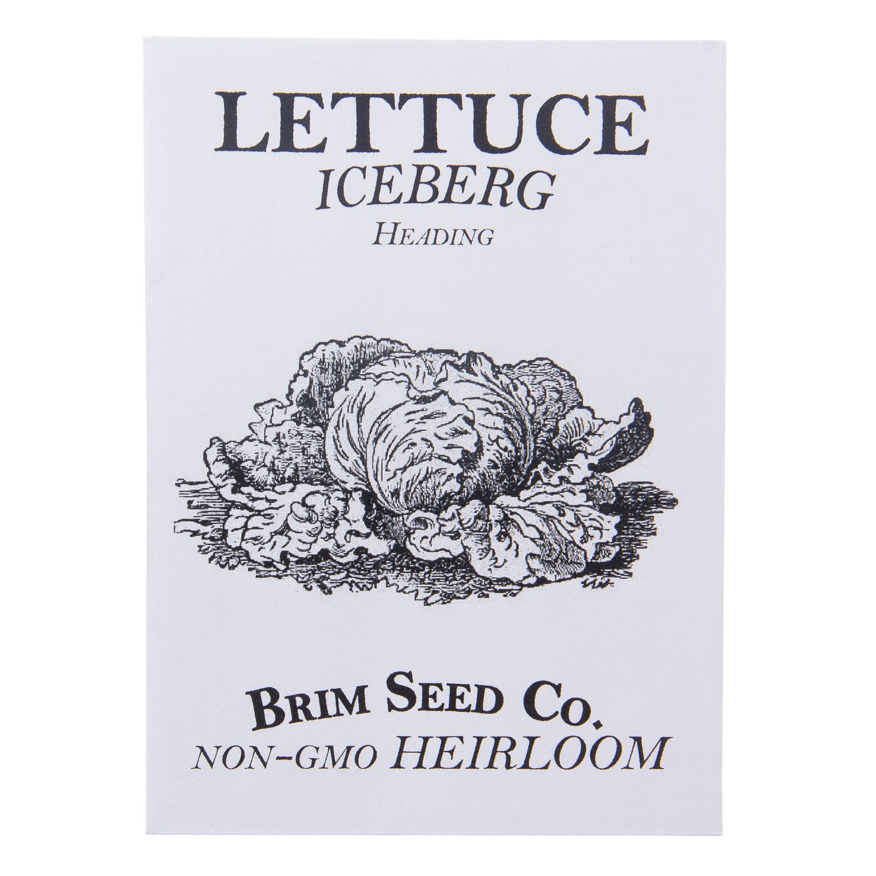 Brim Seed Co. - Heading Iceburg Lettuce Greens Heirloom Seed