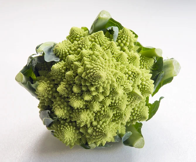 Brim Seed Co. - Romanesco Italia Broccoli Heirloom Seed