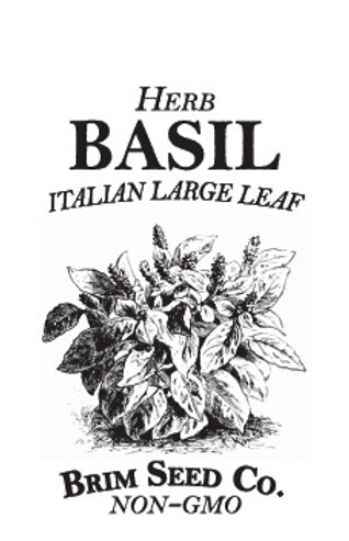 Brim Seed Co. - Italian Large Leaf Basil Herb Seed