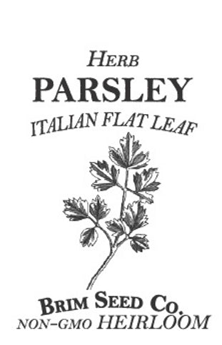 Brim Seed Co. - Italian Flat Leaf Parsley Herb Heirloom Seed