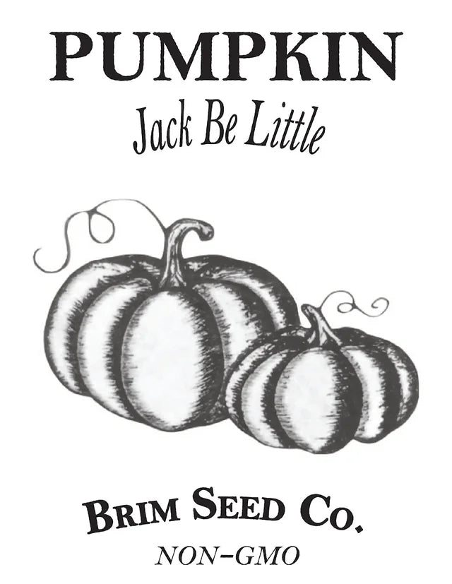 Brim Seed Co. - Jack Be Little Pumpkin Heirloom Seed