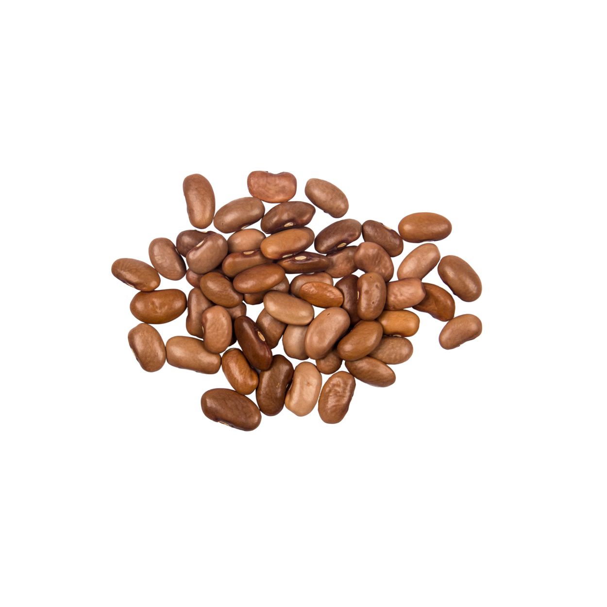 Brim Seed Co. - Kentucky Wonder Pole Bean Heirloom Seed
