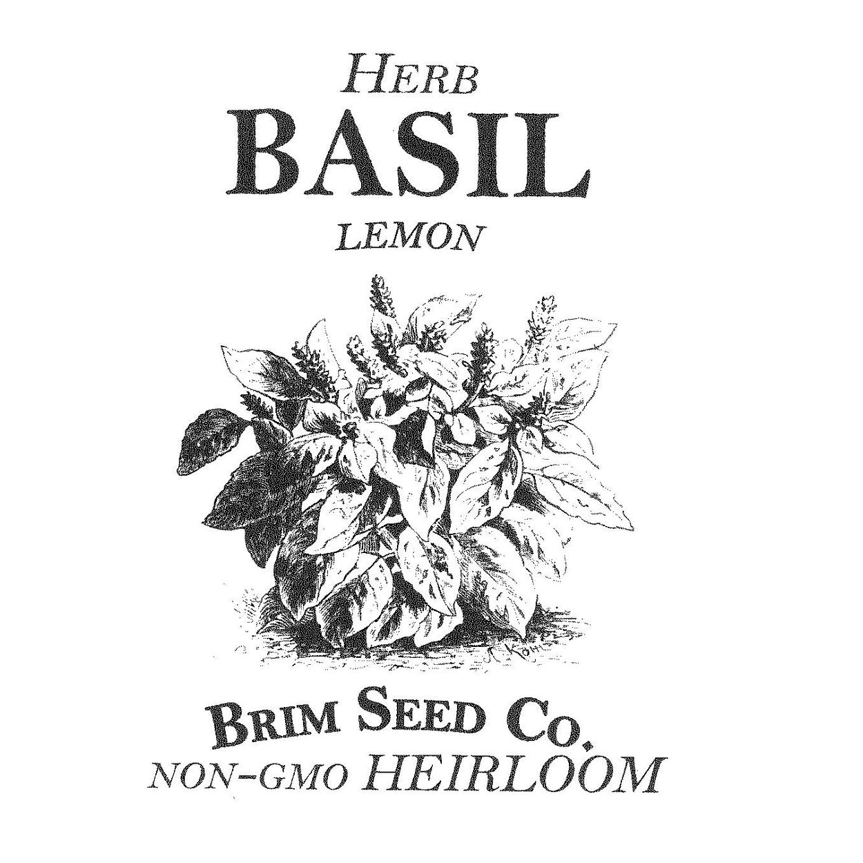 Brim Seed Co. - Lemon Basil Herb Heirloom Seed