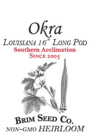 Brim Seed Co. - Southern Acclimated Louisiana 16" Long Okra Heirloom Seed