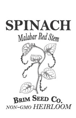 Brim Seed Co. - Malabar Red Stem Spinach Greens Heirloom Seed