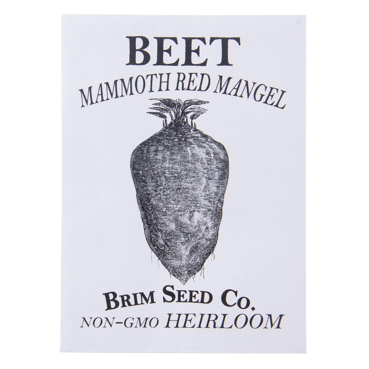 Brim Seed Co. - Mammoth Red Mangel Beet Heirloom Seed