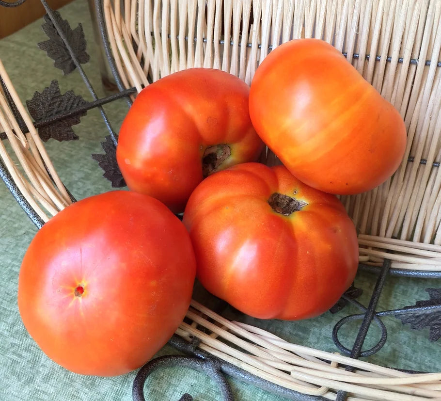 Brim Seed Co. - Marglobe Tomato Heirloom Seed