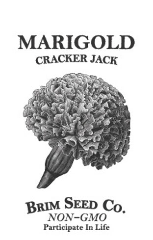 Brim Seed Co. - Cracker Jack Marigold Flower Seed