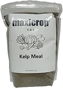 Maxicrop - 5lb. Kelp Meal/Algamin Seaweed