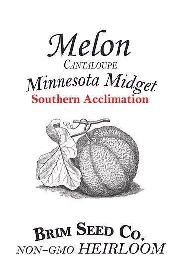 Brim Seed Co. - Southern Acclimated Minnesota Midget Cantaloupe Melon Heirloom Seed