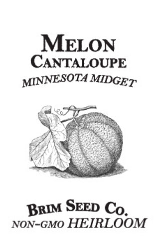 Brim Seed Co. - Minnesota Midget Cantaloupe Melon Heirloom Seed