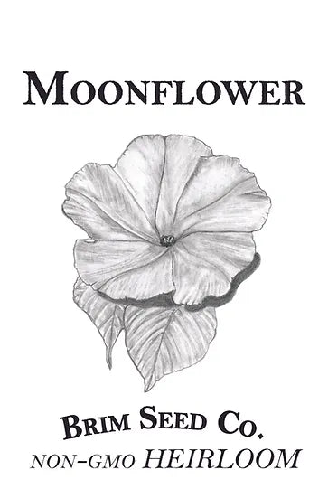 Brim Seed Co. - Moonflower Vine Heirloom Seed