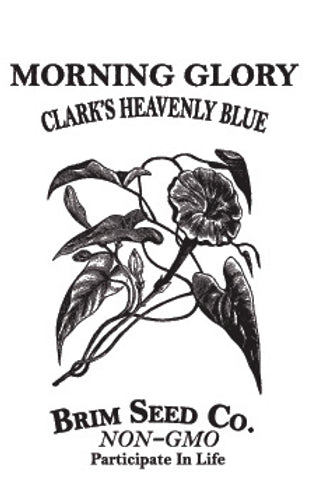 Brim Seed Co. - Clarks Heavenly Blue Morning Glory Flower Seed