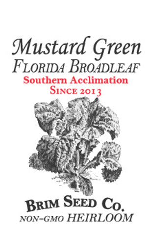 Brim Seed Co. - Southern Acclimated Florida Broadleaf Mustard Greens Heirloom Seed