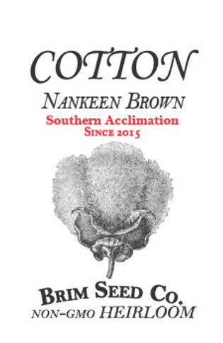 Brim Seed Co. - Southern Acclimated Nankeen Brown Cotton Heirloom Seed