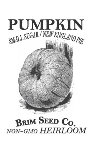 Brim Seed Co. - Small Sugar New England Pie Pumpkin Heirloom Seed