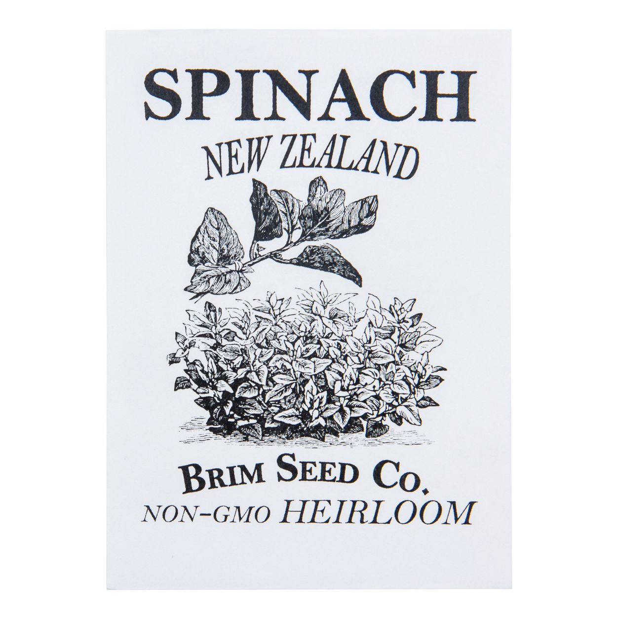 Brim Seed Co. - New Zealand Spinach Greens Heirloom Seed
