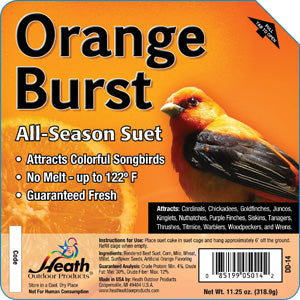 Orange Burst - Suet Cake