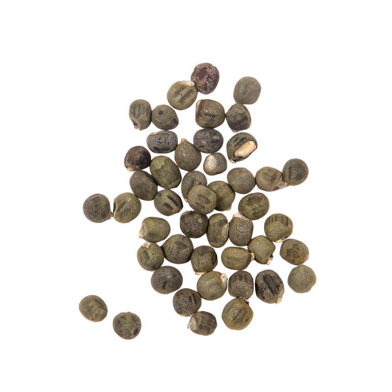 Brim Seed Co. - Burgundy Okra Heirloom Seed