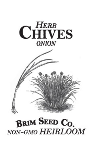 Brim Seed Co. - Onion Chives Herb Heirloom Seed