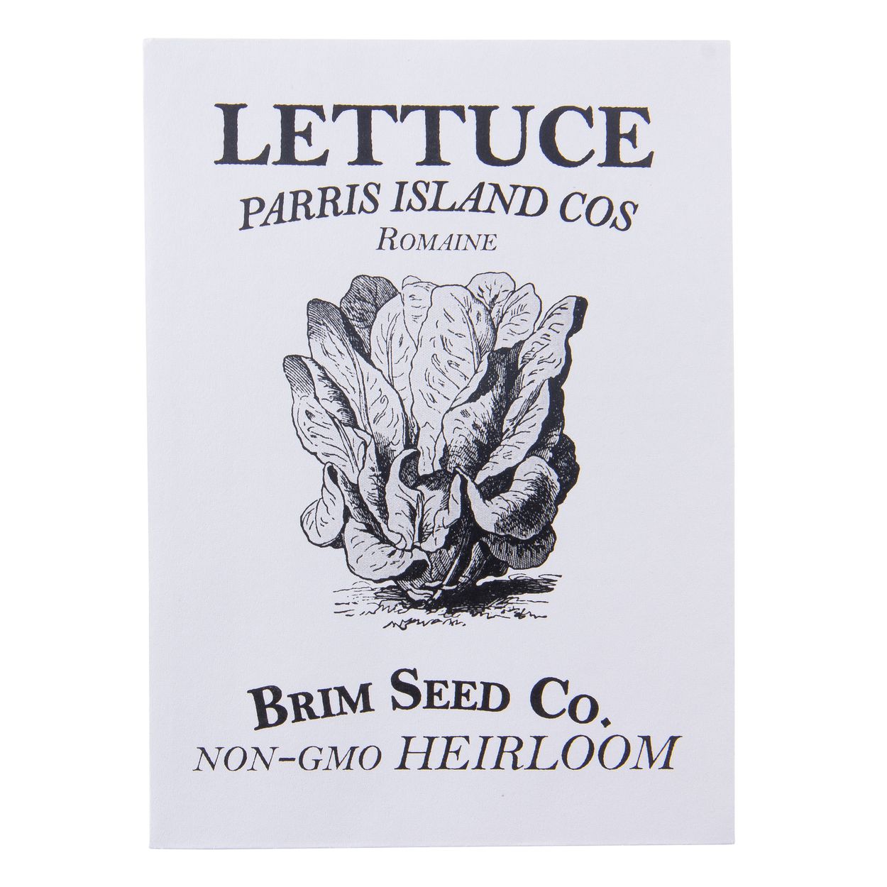 Brim Seed Co. - Parris Island Cos Romaine Lettuce Greens Heirloom Seed