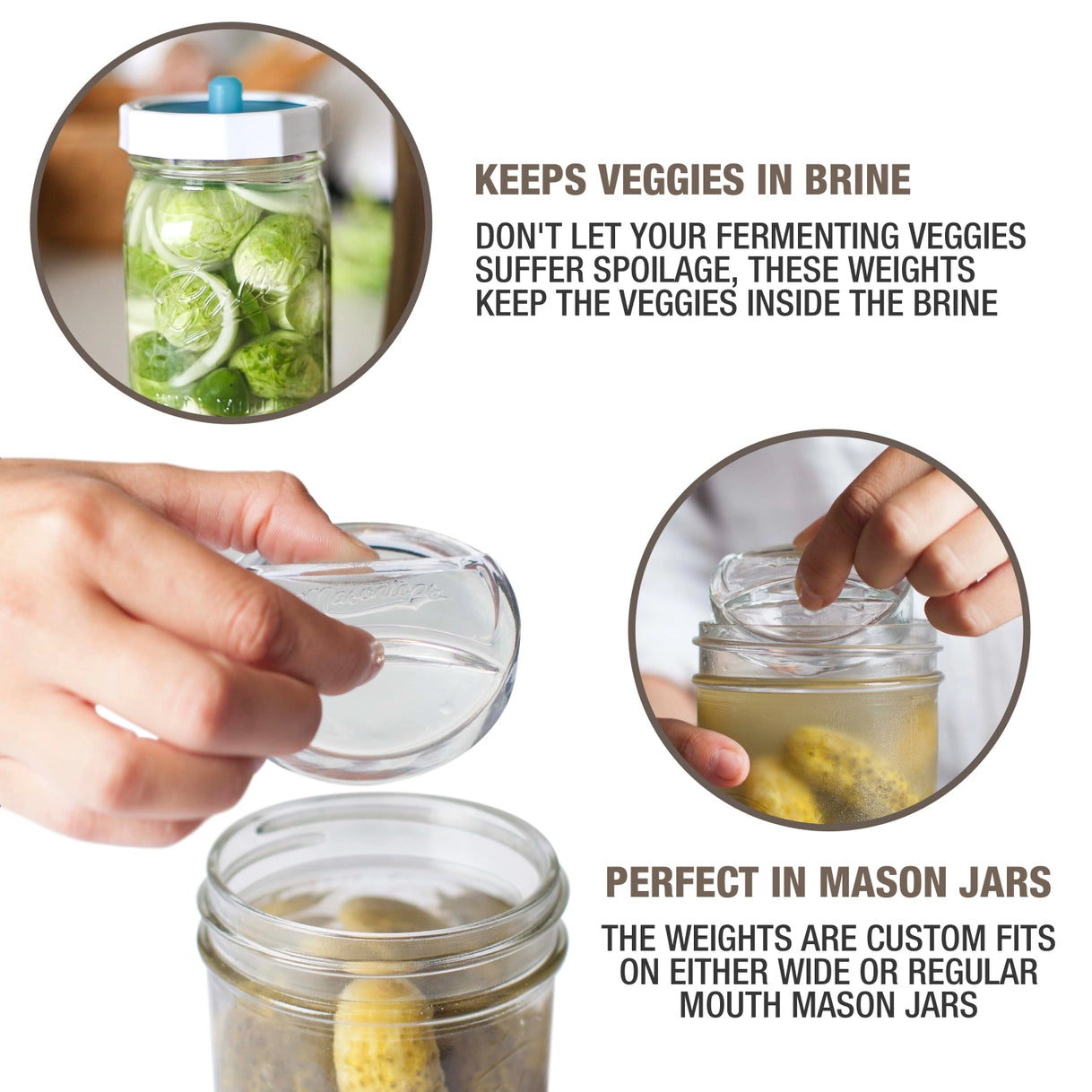 Masontops - Wide Mouth Pickle Pebble Glass Fermentation Weights