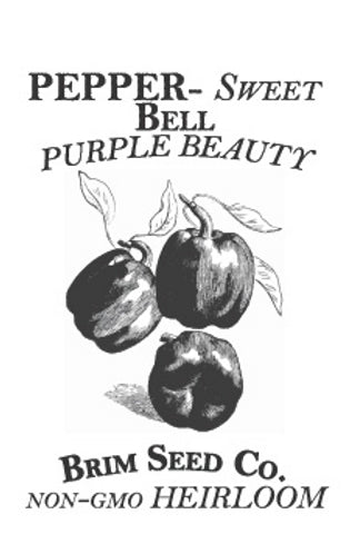 Brim Seed Co. - Sweet Purple Beauty Bell Pepper Heirloom Seed