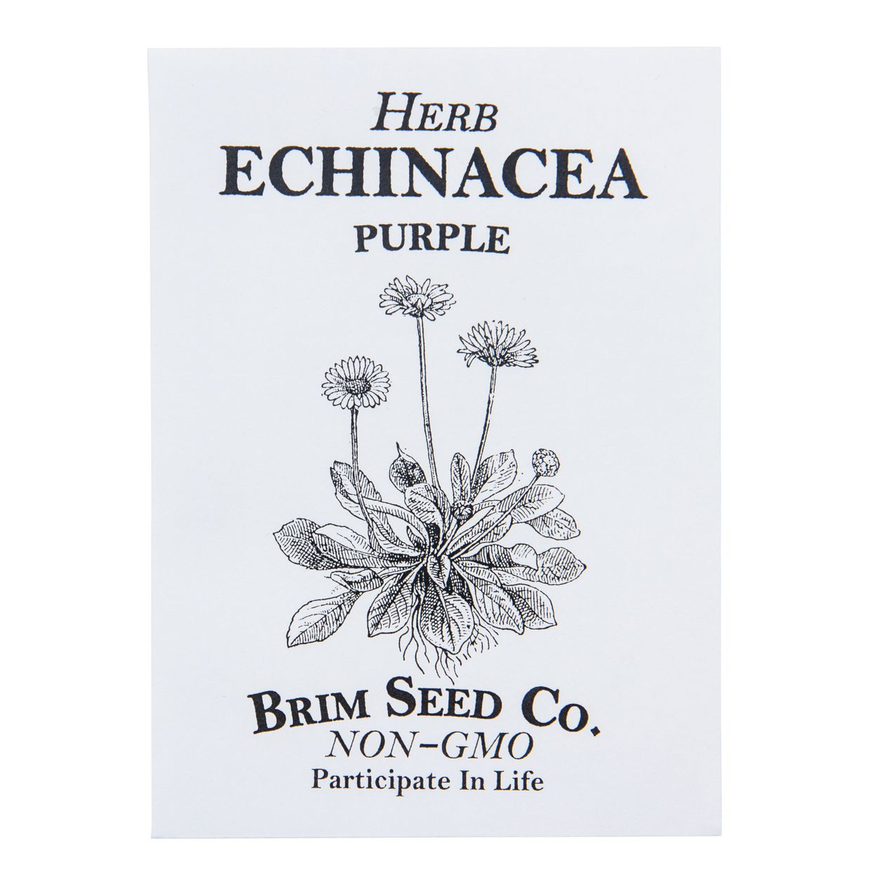 Brim Seed Co. - Purple Echinacea Herb Seed