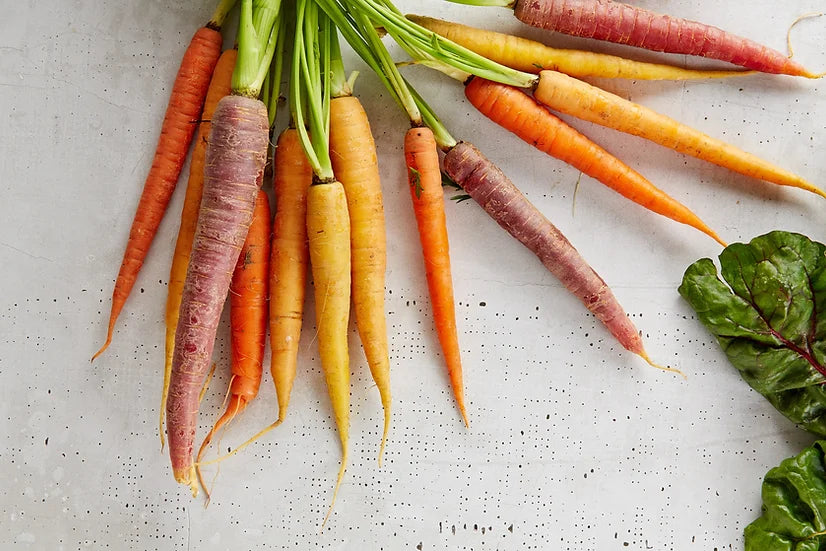 Brim Seed Co. - Rainbow Mix Carrots Seed