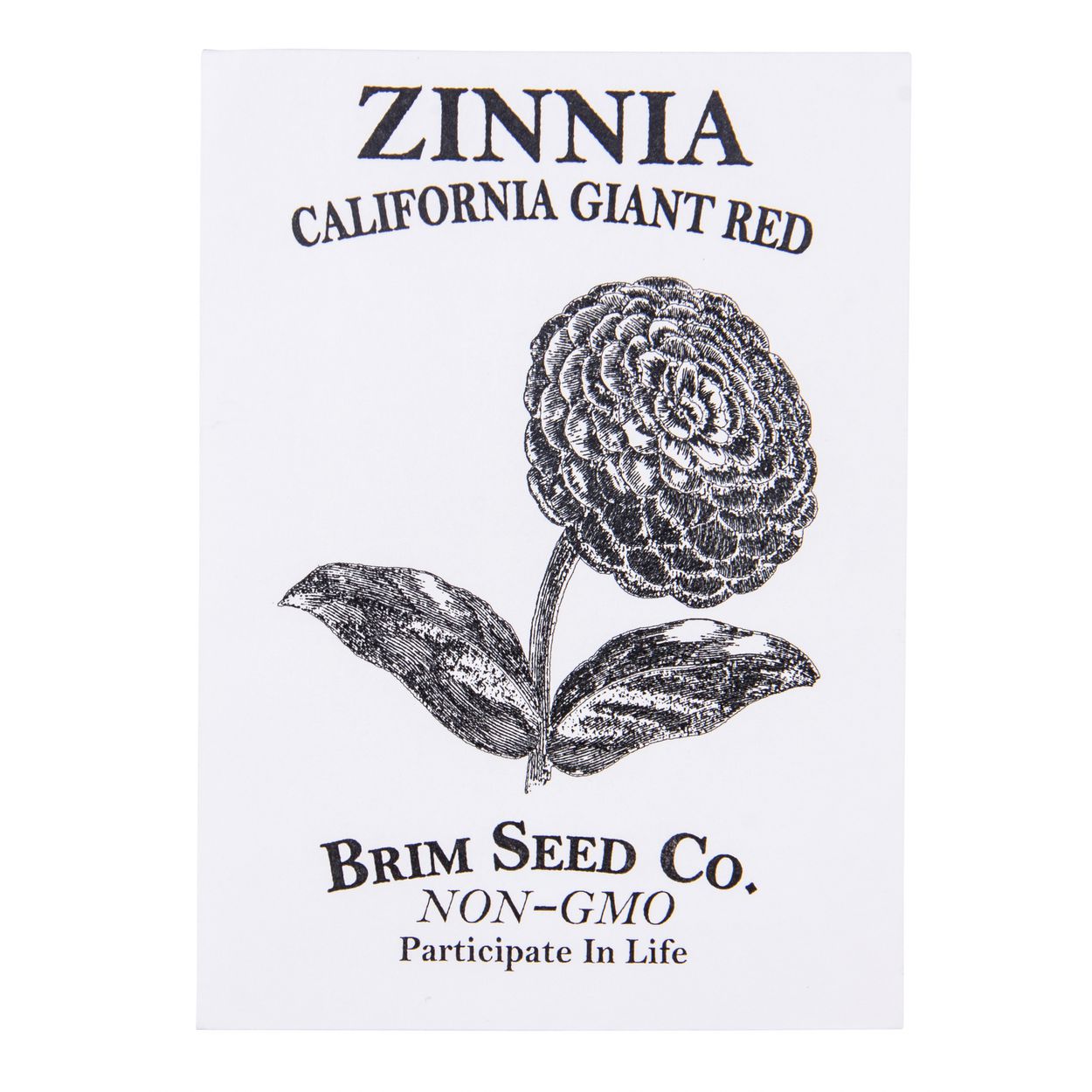 Brim Seed Co. - California Giant Red Zinnia Flower Seed