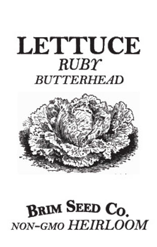 Brim Seed Co. - Butterhead Ruby Lettuce Greens Heirloom Seed