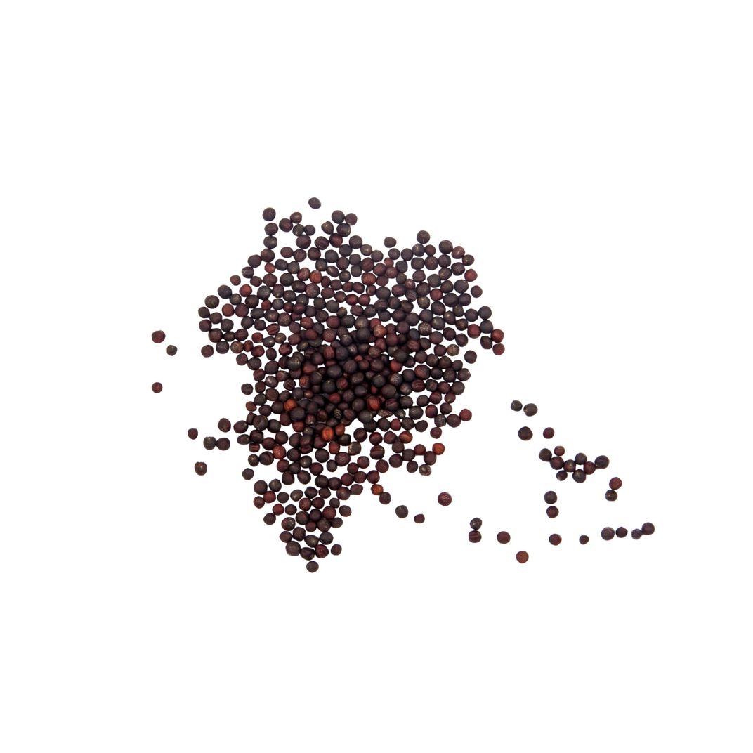 Brim Seed Co. - American Purple Top Rutabaga Heirloom Seed